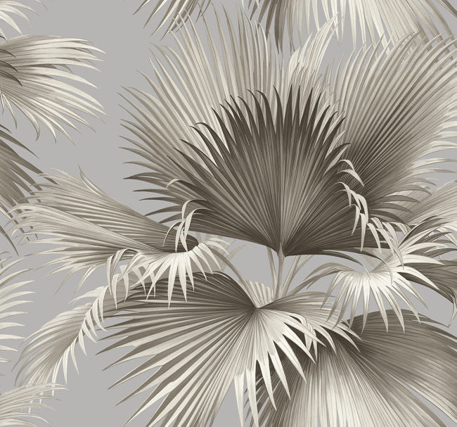 silvers-pewters_summer-palm