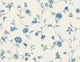 Nova Blue