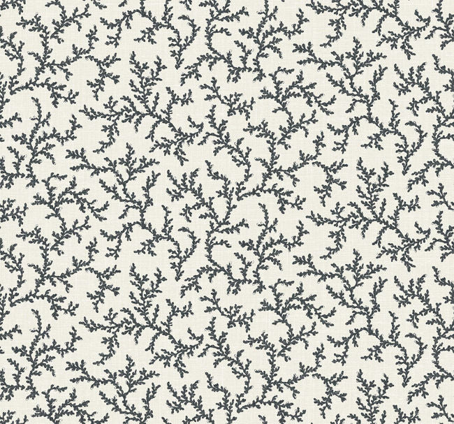 deep-ocean_corail