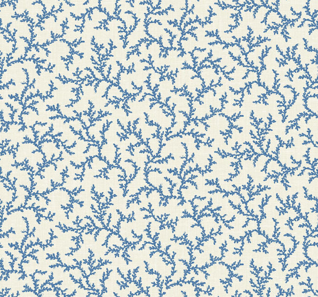 lazy-blue_corail