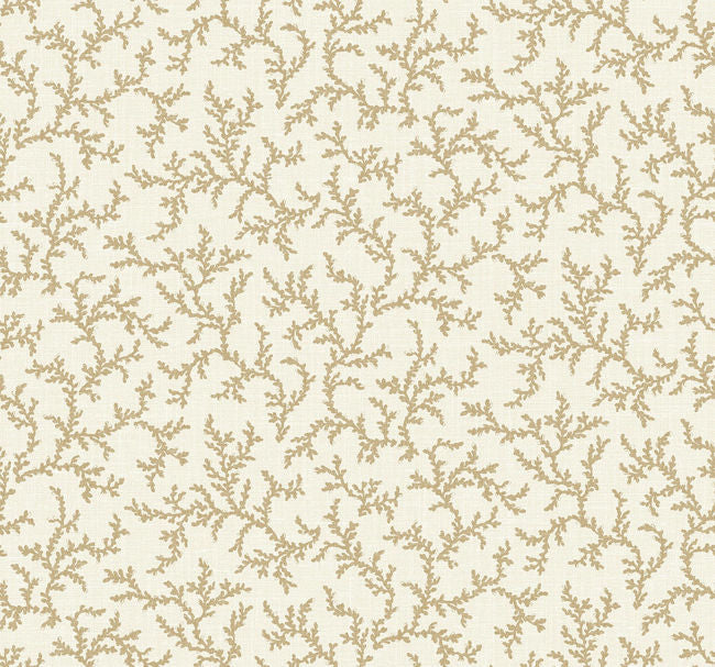 baked-cumin_corail