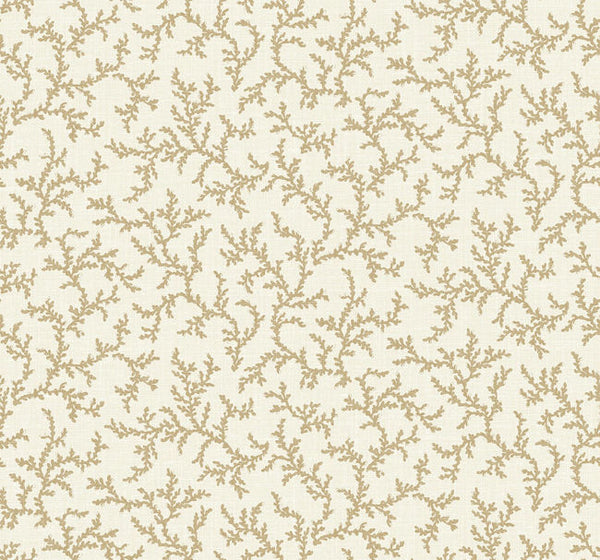 baked-cumin_corail