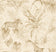 Lambs Wool