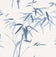 Cool Breeze