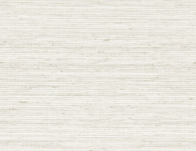 oyster-pearl_papillion