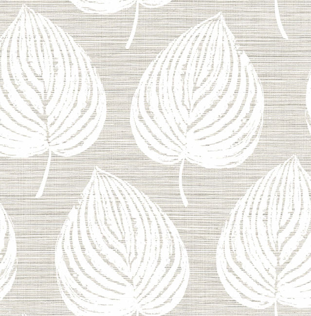 snowdrop_woodward