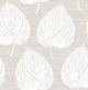 Snowdrop