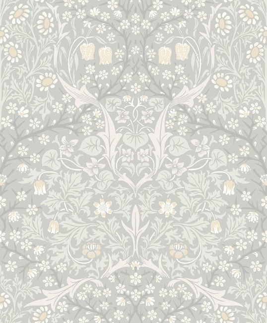 glacier_tulip-floral-trail