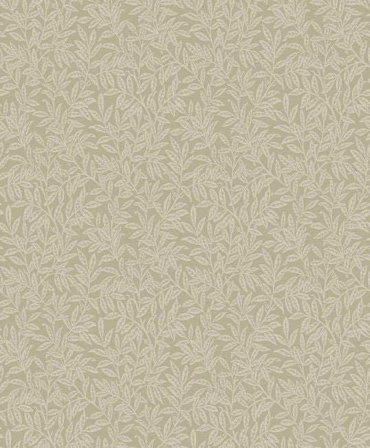 oat_small-leaf-trail