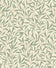 Alabaster Cream & Parsley