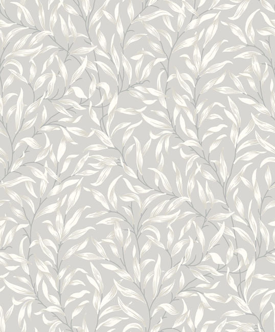 glacier_willow-leaf-trail
