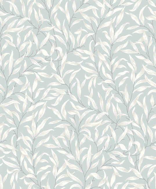 powder-blue_willow-leaf-trail