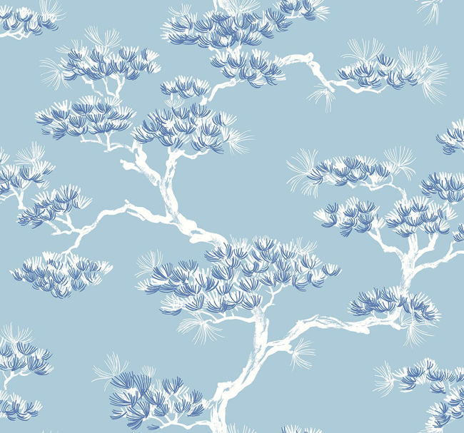 sky-blue_kyoto