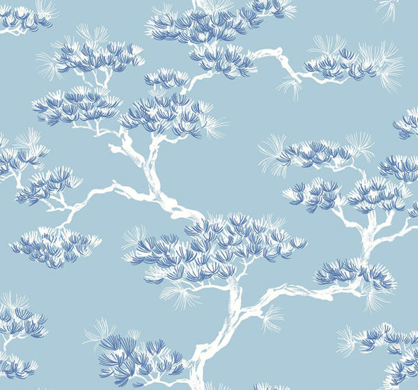 Sky Blue