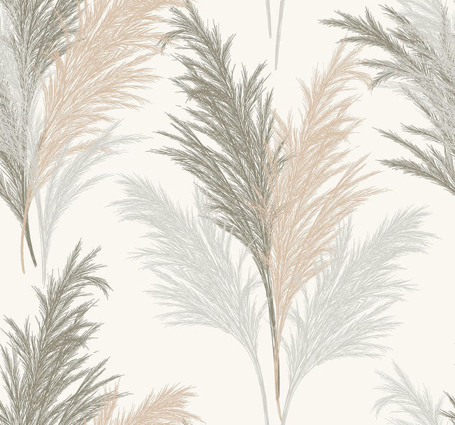 pink-salt_pampas