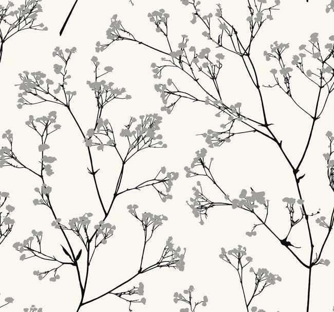 egyptian-cotton_whisper
