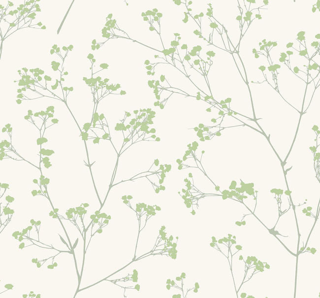 spring-time_whisper