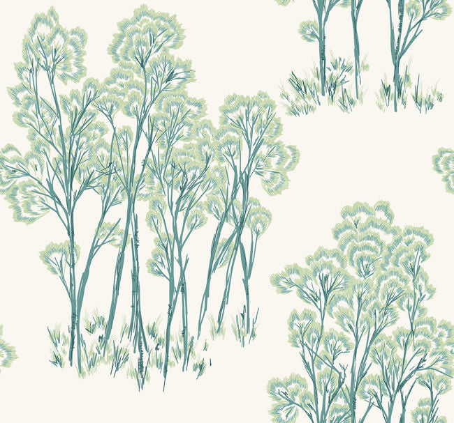 light-pine_birch