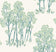 Light Pine