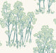 Light Pine