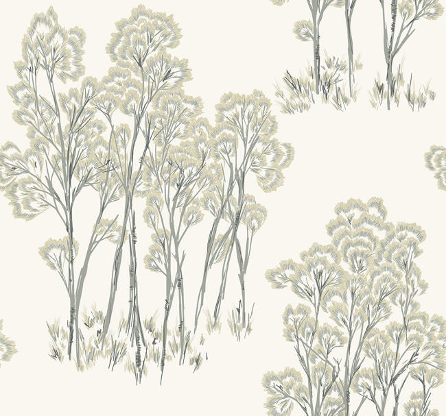 macadamia_birch