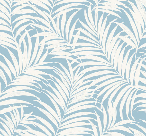 Breeze