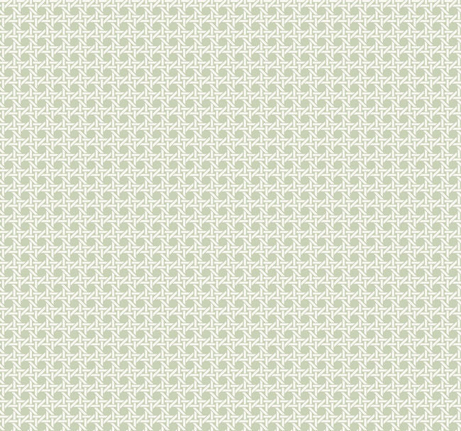 pistachio_cane