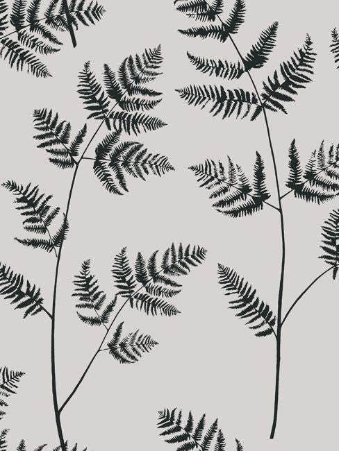 fog_bracken