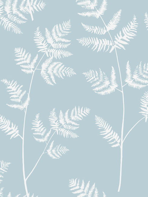 Morning