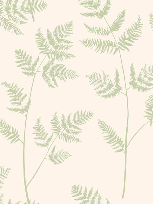 fresh-morning_bracken