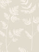 Almond