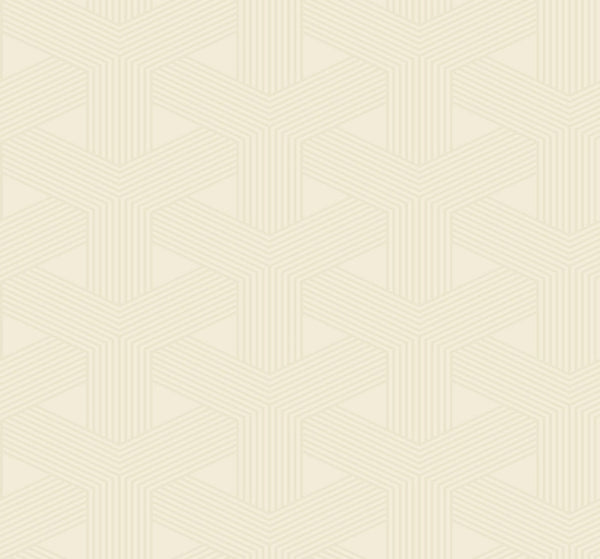 oy31605_interlocking-triangle-geometric-with-raised-inks-paper-ink