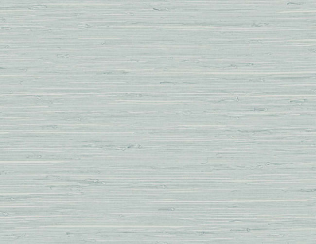 pale-sky_fine-arrowroot-27-in