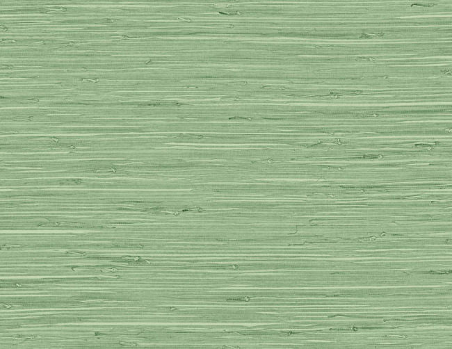 spring-forest_fine-arrowroot-27-in
