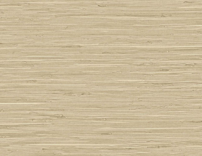 chestnut_fine-arrowroot-54-in