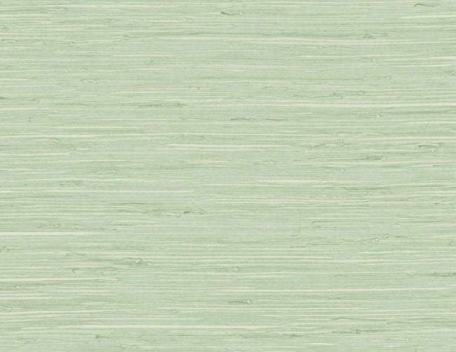 frosted-grass_fine-arrowroot-54-in