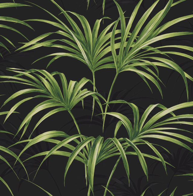 onyx_open-palm-leaf