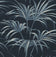 Midnight Blue