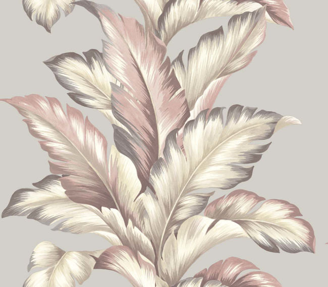 blush_big-leaf