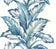 Blue Knoll