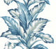 Blue Knoll