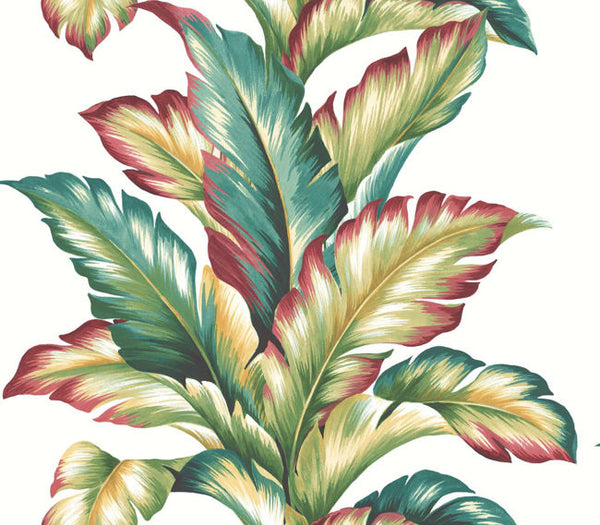 Multicolored