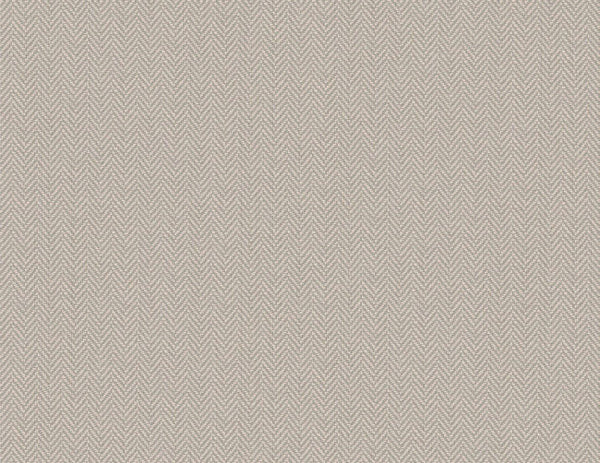 Cool Neutrals