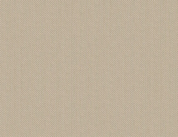 Warm Neutrals & Beiges 1