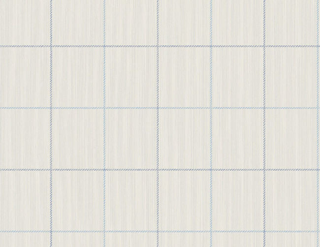 cool-neutrals_string-on-window-pane-check