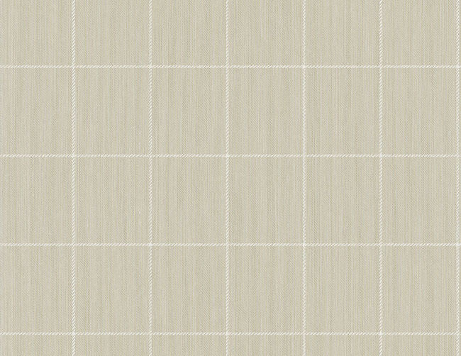 warm-neutrals-beiges-1_string-on-window-pane-check