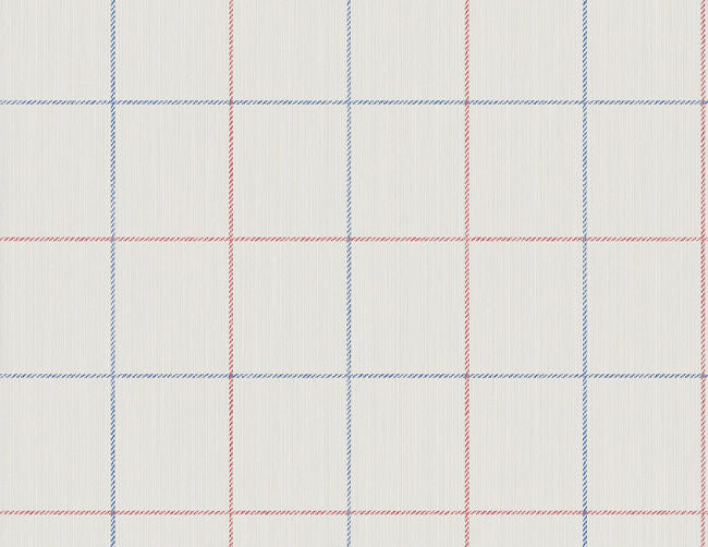 reds_string-on-window-pane-check