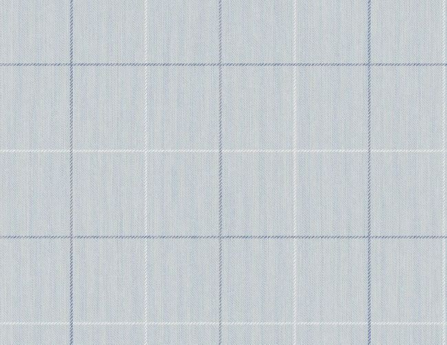 blues-1_string-on-window-pane-check