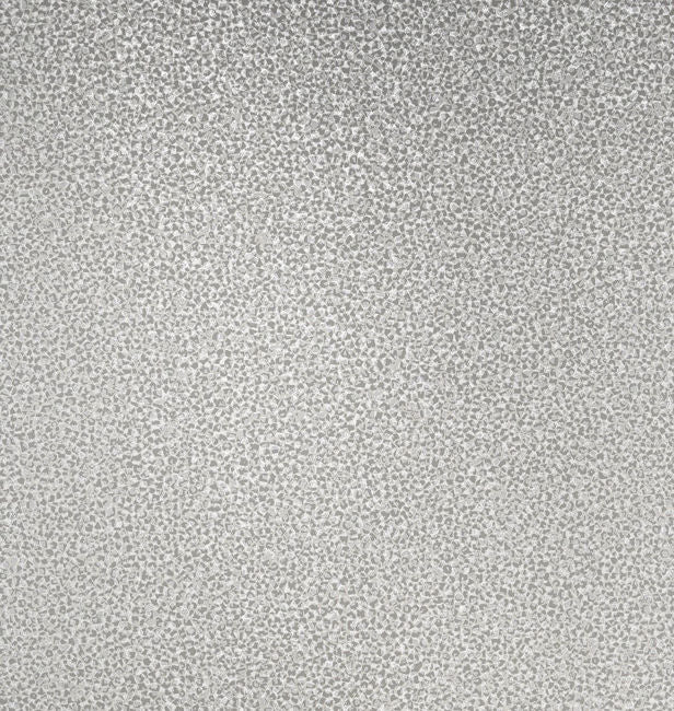 dove-gray-silver-glitter_gravel-texture