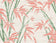 Pinks